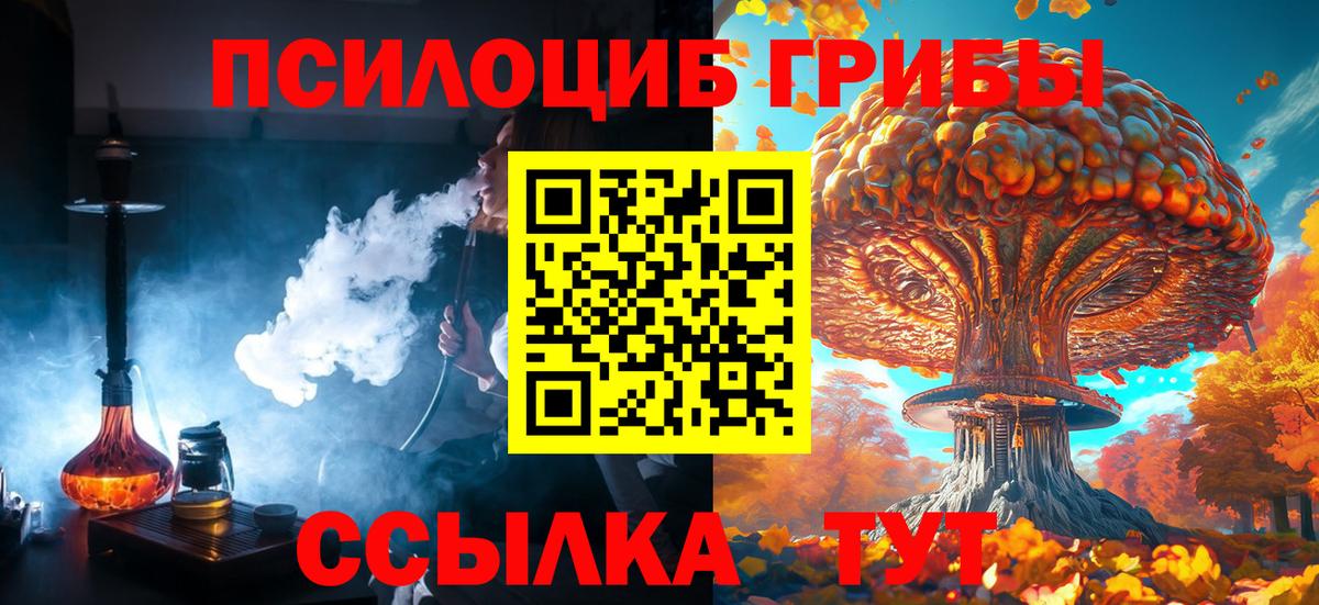 Галлюциногенные грибы прущие грибы Знаменск