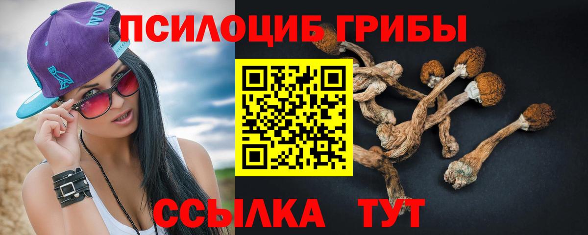 Знаменск  Галлюциногенные грибы мицелий  купить наркотик  Псилоцибиновые грибы мицелий  Вход с VPN 